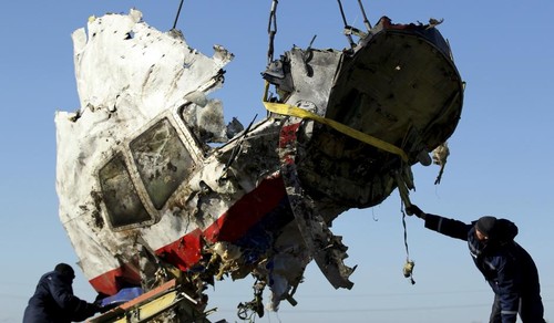 Activities to mark one year of MH 17 crash - ảnh 1
